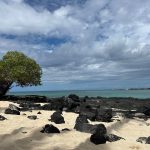 Hawaii Beach Travel