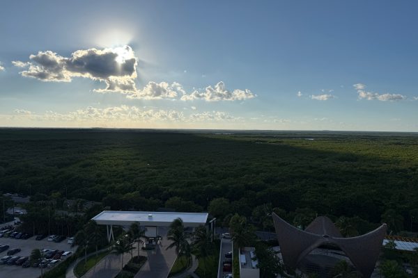 Cancun Nature Preserve Mexico Travel History