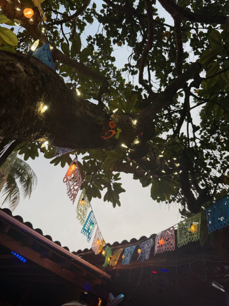 Isla Mujeres El Patio Bar View